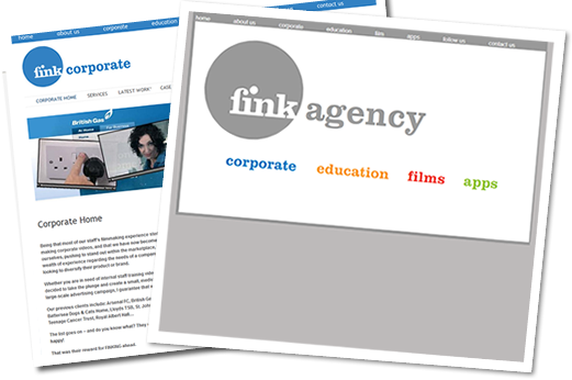 Fink Agency, Clients of Skrootiny