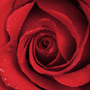 Post with no featured image on post page