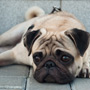 Post with no featured image on post page